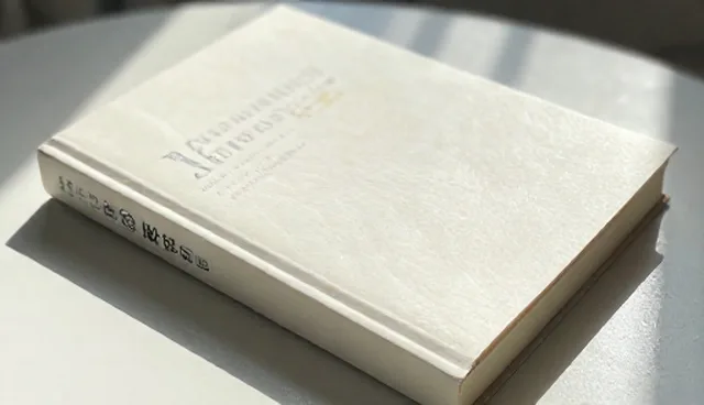 技术咨询中APP性能优化的适用情况与限制